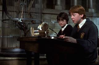 Harry a Ron