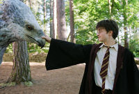 Harry a Klofan