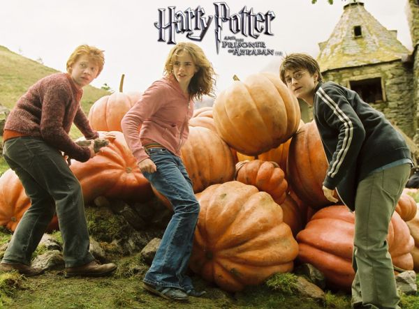 Harry, Ron a Herm u dýní